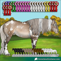 Horse Color:Gray White Spotted Silver Brown Pearl Dun