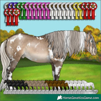 Horse Color:Gray White Spotted Silver Brown Pearl Dun