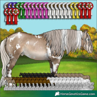 Horse Color:Gray White Spotted Silver Brown Pearl Dun 
