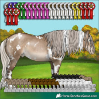 Horse Color:Gray White Spotted Silver Brown Pearl Dun 