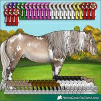 Horse Color:Gray White Spotted Silver Brown Pearl Dun 