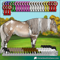 Horse Color:Gray White Spotted Silver Brown Pearl Dun