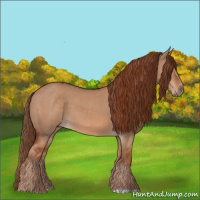Horse Color:Red Dun and Red Dun