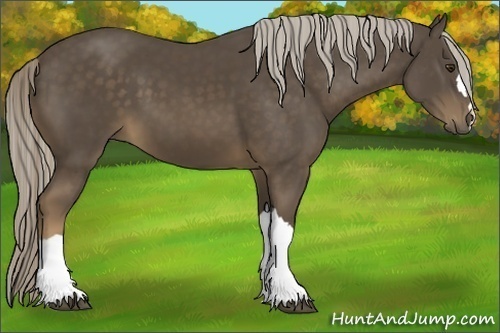 Horse Color:Chocolate Palomino 