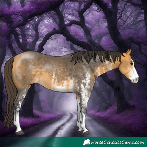 Horse Color:White Spotted Buckskin 