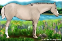 Horse Color:Chocolate Palomino Pearl