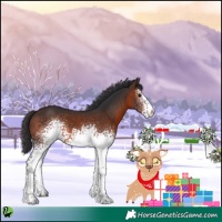 Horse Color:White Spotted Brown 