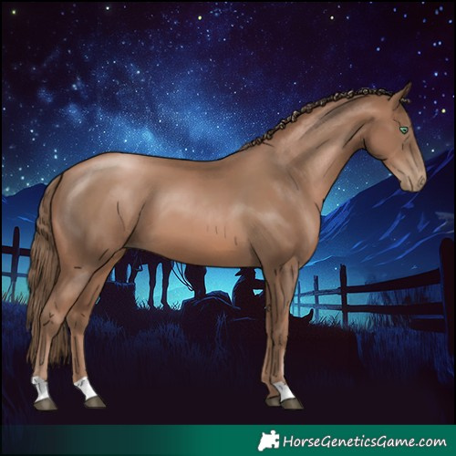 Horse Color:Black Pearl 