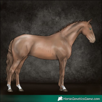 Horse Color:Black Pearl 