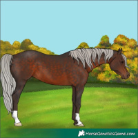 Horse Color:Silver Brown 