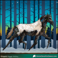 Horse Color:White Spotted Buckskin Pearl Appaloosa 