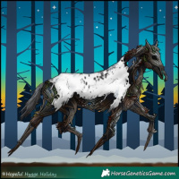 Horse Color:White Spotted Smoky Black Appaloosa 