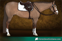 Horse Color:Liver Red Dun and Liver Red Dun
