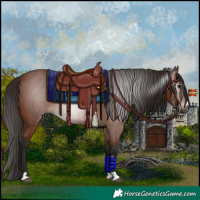 Horse Color:Gray Bay