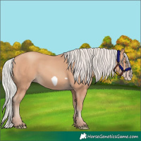 Horse Color:Silver Amber Champagne Frame