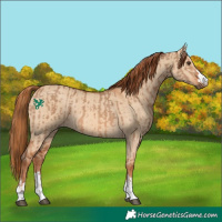 Horse Color:Red Dun and Red Dun