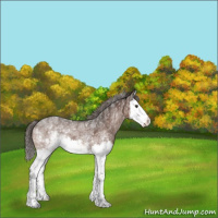 Horse Color:White Spotted Liver Chestnut Splash 