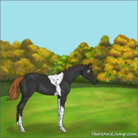 Horse Color:Gray Liver Chestnut Tobiano 