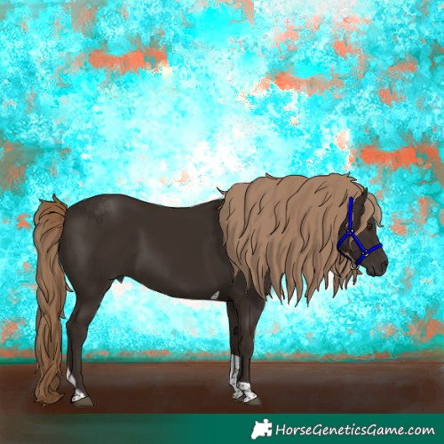 Horse Color:Liver Chestnut Tobiano 