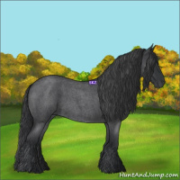 Horse Color:Blue Roan 