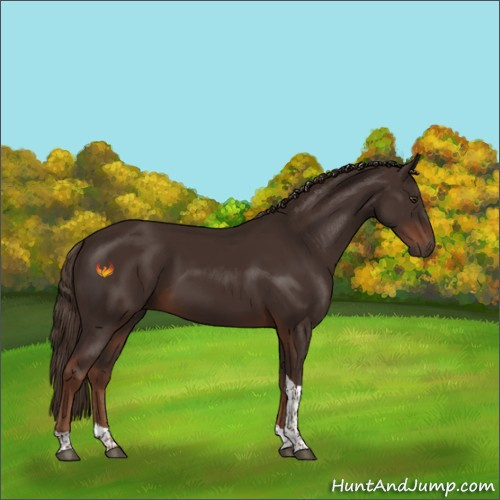 Horse Color:Liver Chestnut Tobiano 