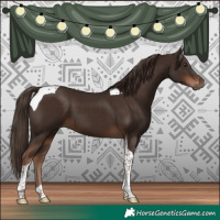 Horse Color:Liver Chestnut Tobiano 