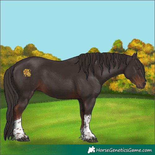 Horse Color:Liver Chestnut Tobiano 