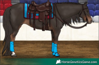 Horse Color:Liver Chestnut Tobiano 