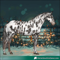 Horse Color:Liver Chestnut Tobiano Appaloosa