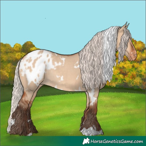 Horse Color:White Spotted Silver Bay Dun Appaloosa Rabicano