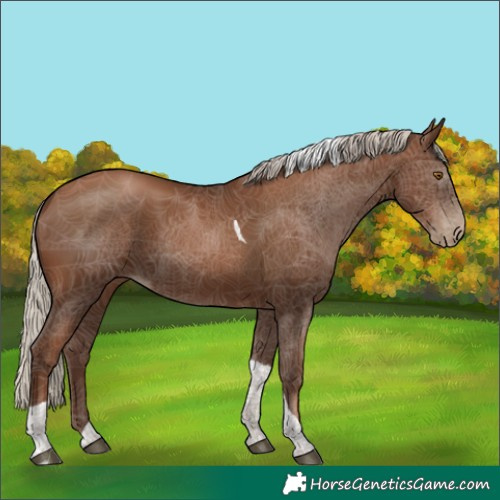 Horse Color:Gray Silver Black Pearl Tobiano