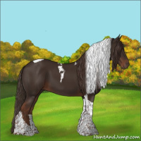 Horse Color:Liver Chestnut Tobiano 