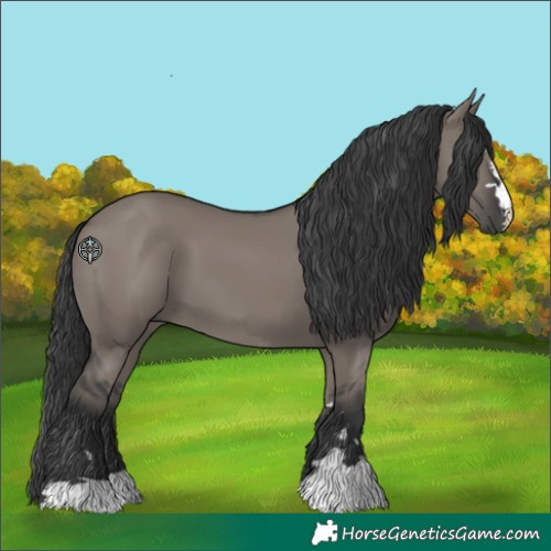 Horse Color:Grullo