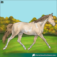 Horse Color:White Spotted Smoky Black Pearl 