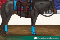 Horse Color:Liver Chestnut Tobiano 