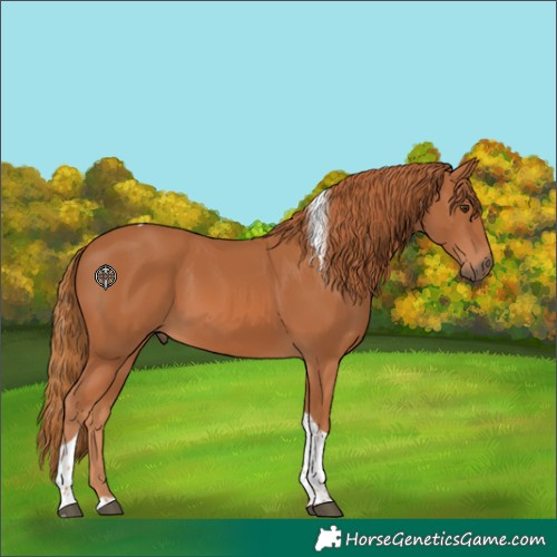 Horse Color:Chestnut Tobiano 