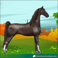 Horse Color:Liver Chestnut Tobiano 