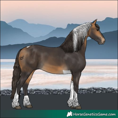 Horse Color:Buckskin Tobiano 