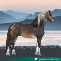 Horse Color:Buckskin Tobiano 