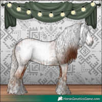 Horse Color:Gray Chestnut  and Gray Chestnut Frame 