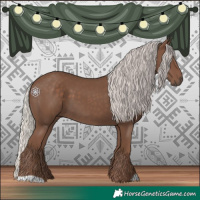 Horse Color:Silver Black