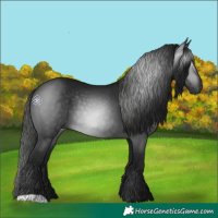 Horse Color:Gray Black 