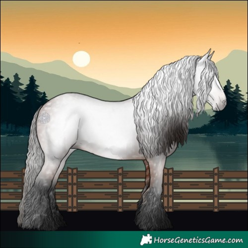 Horse Color:Gray Bay 