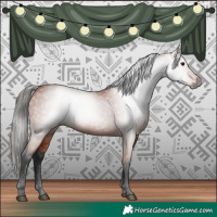 Horse Color:Gray Bay 
