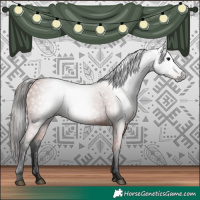 Horse Color:Gray Bay 