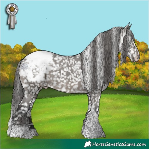 Horse Color:Grullo Tobiano Appaloosa 