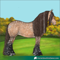 Horse Color:Bay Dun Snowflake Varnish 