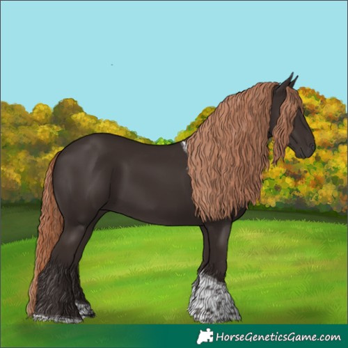 Horse Color:Liver Chestnut Tobiano 