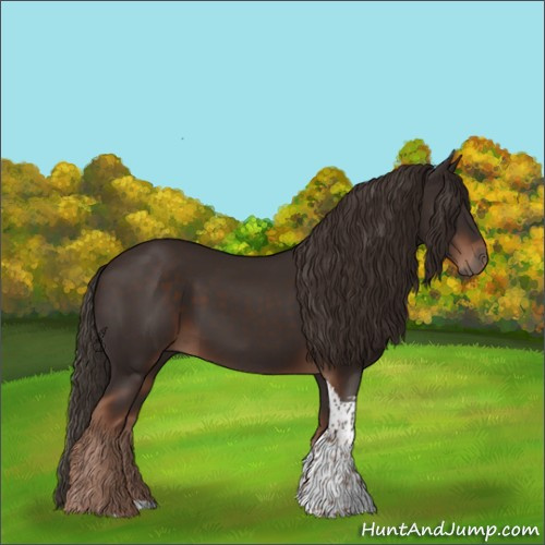Horse Color:Liver Chestnut Tobiano 