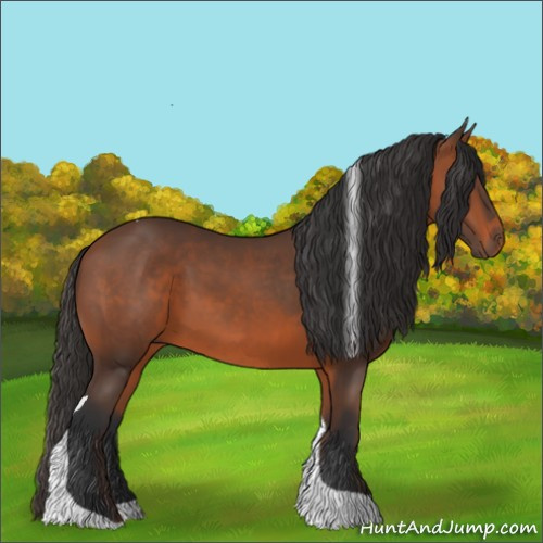 Horse Color:Bay Tobiano 